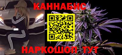 индика Лесосибирск